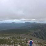 Austin Gallant - @austingallant - Instagram