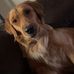 Austin Gamble - Facebook