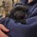 Austin Gamble - Facebook