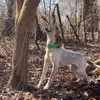 Austin Gant - @austin.gant23 - TikTok