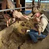 Austin Hartman - @_austin.hartman_ - TikTok