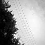 Austin Gasser - Facebook