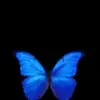 Austin_Gates - @austin_gates - TikTok