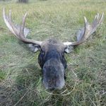 Austin Geiger - @wydaho33 - Instagram
