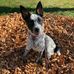 Austin Geiger - Facebook