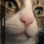 Austin Michael Geist - @the_happy_kittycat - Instagram