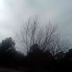 Austin Gerling - Facebook