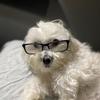 Austin - @austin.hagerman - TikTok
