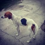 austin - @austin.gerthe - Instagram