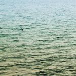 Austin gerth - @gerth_austin - Instagram