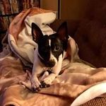 Austin Gess - @austingess0 - Instagram