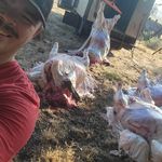 Austin geyer - @austinforthewin77 - Instagram