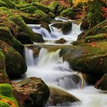 Austin Geyer - @powersaustin66 - Instagram