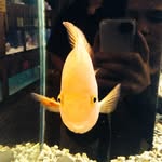 @austin_giddens1234 - Instagram