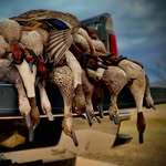 Austin Giddens - @austin__giddens__ - Instagram
