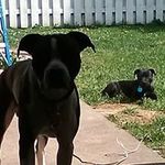 austin goodwin - @hugs_10th_ - Instagram