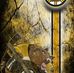 Austin Gowdy - Facebook