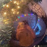 @austin_gowen08 - Instagram