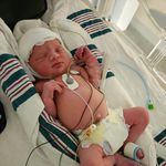 Austin Grady - @the.one.and.only.austin3x - Instagram