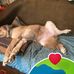 Austin Grainger - Facebook