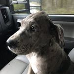 Austin Granger - @granger2703 - Instagram