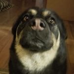 Austin Gregg - @austingregg8008 - Instagram