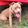 Austin Gregg - @austin.gregg7 - TikTok