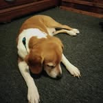 Austin Grider - @austingrider316 - Instagram