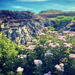 Austin Grove - @austin_but_mostly_plants - Instagram