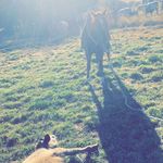 Austin Grove - @austin_grove48 - Instagram