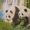 Austin Grove - @austin.grove2 - TikTok