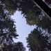Austin Grow - Facebook