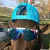 Austin Gurrola Gurola - @austin.gurrola.gu - TikTok