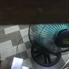 Austin Haley - @austin.haley1 - TikTok