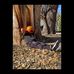 Austin Haley - Facebook