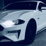 Austin Haley - @rival_5.0 - Instagram