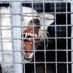h.a.s. - @austinhaley - Instagram