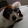 austin - @austin..hamm_ - TikTok