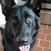 Austin Hamm - Facebook
