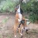 Austin Hawk - Facebook