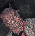 Austin Hight - Facebook