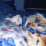 Austin Huffman - @austin_huffman_ - Instagram