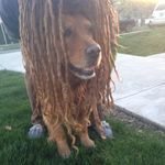 Austin Huffman - @austinhuffman208 - Instagram