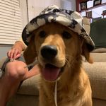 Austin Jacobsen - @jaustin8 - Instagram