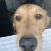 austinjacques81 - @austinjacques81 - TikTok