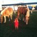 Austin Jobe - Facebook