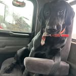 Austin Kellogg - @austin_kellogg23 - Instagram