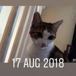 Austin Kerr - @austin.kerr2018 - Instagram
