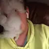 Austin Kline - @austinkline7 - TikTok