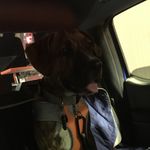 Austin Kline - @austin.kline - Instagram